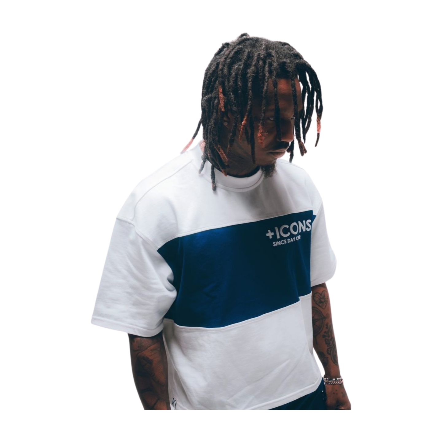 HUDSON Icons Cropped T-Shirt