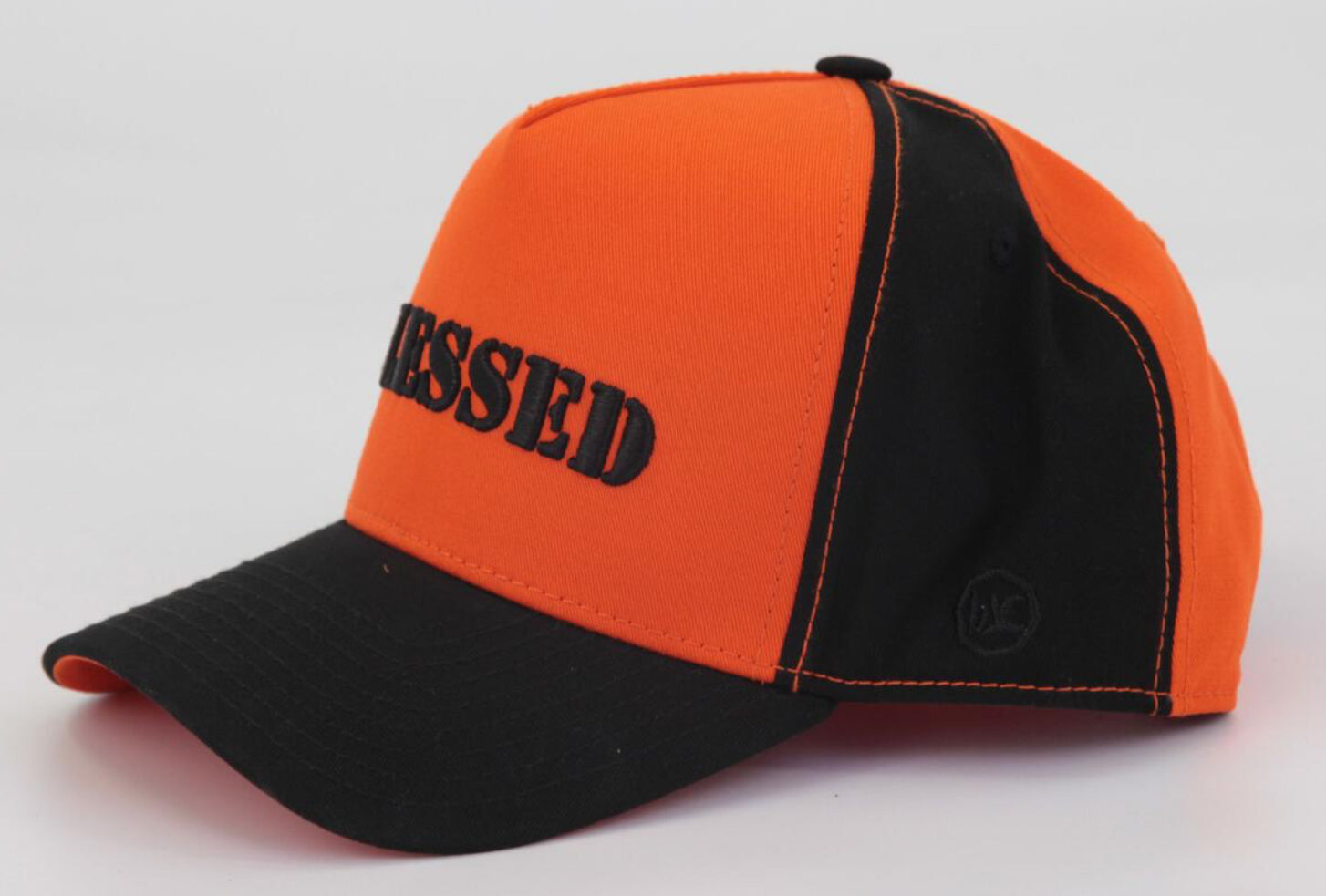 HUDSON Blessed Trucker Hat