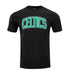 PRO STANDARD Boston Celtics "Classic Chenille" T-Shirt