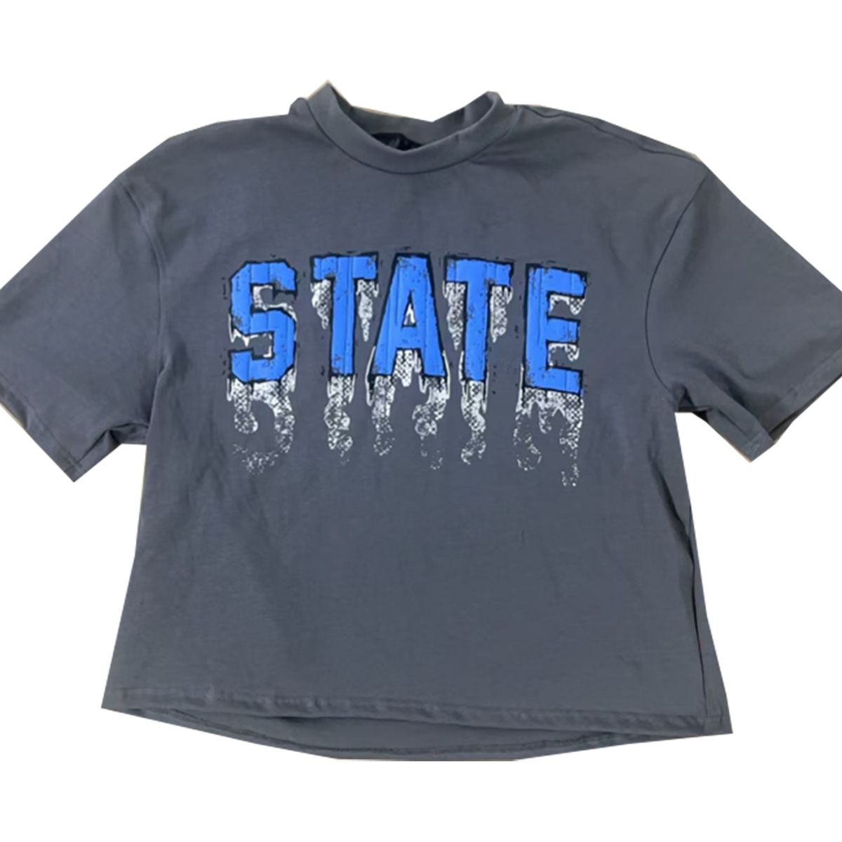 HUDSON " STATE " T-Shirt